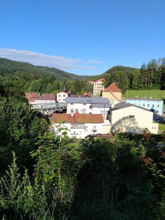 Hotel Koruna penzion Teplice nad Metují Esterno foto